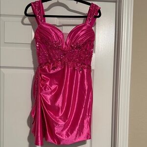 Hot Pink Sequin Dress